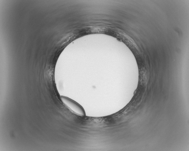 X0000115350329200912011057