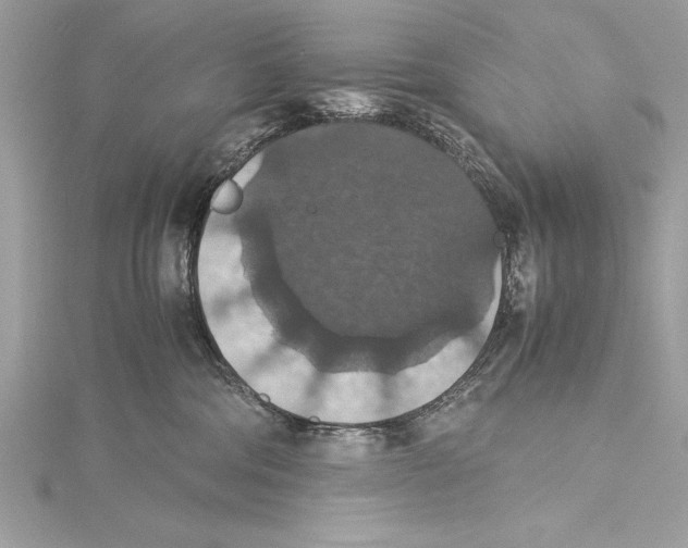 X0000115350330200912011057