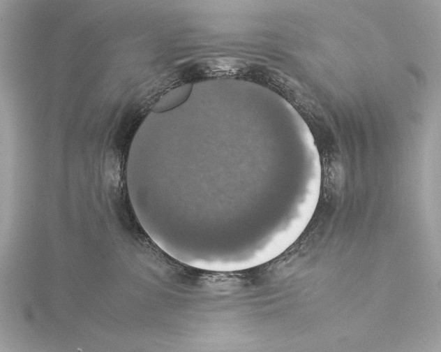 X0000115350331200912011057