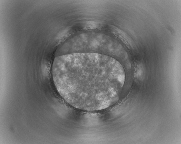 X0000115350332200912011057