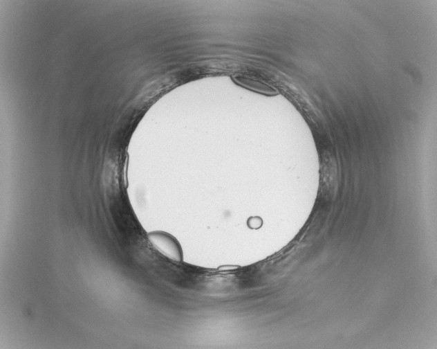 X0000115350333200912011057