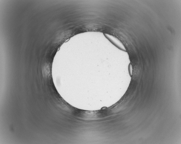 X0000115350335200912011057