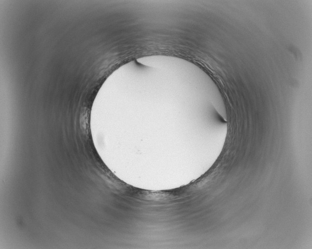 X0000115350336200912011057