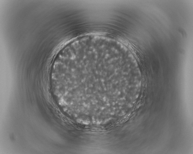 X0000115350337200912011056