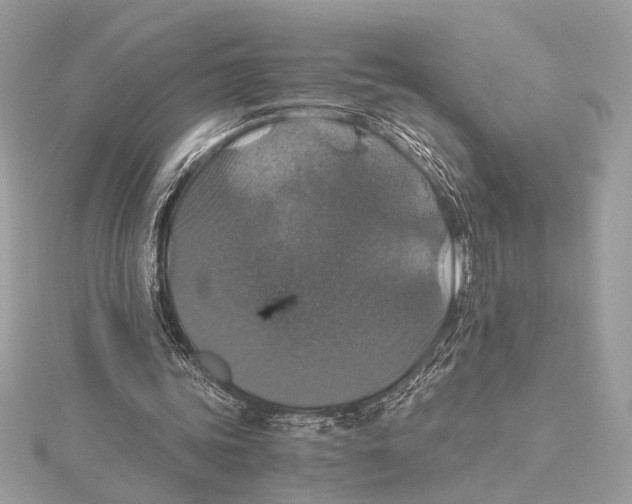 X0000115350339200912011056