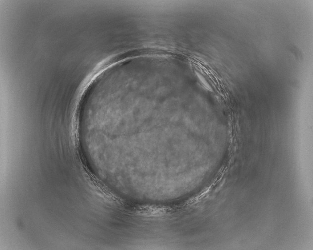 X0000115350343200912011057