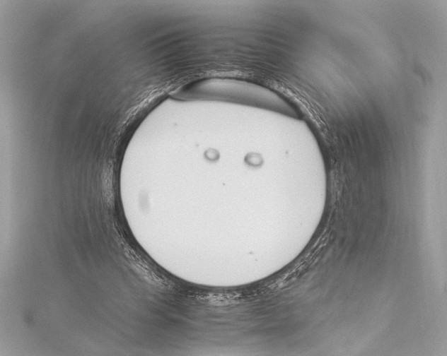 X0000115350345200912011057