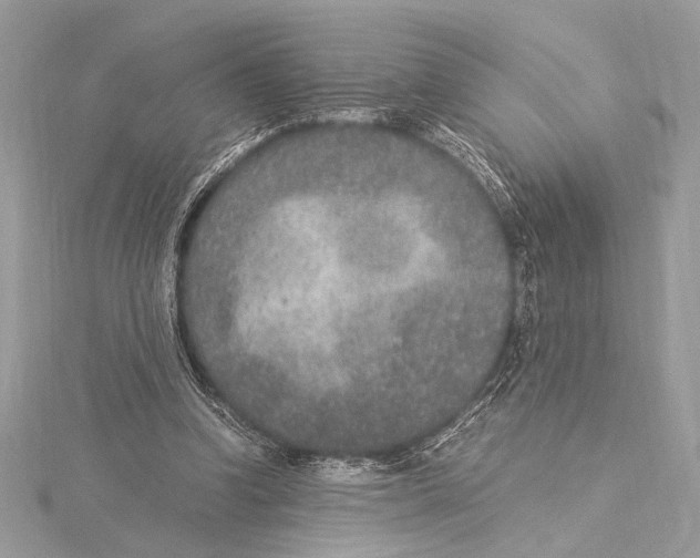 X0000115350346200912011057