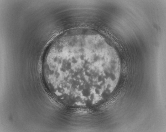 X0000115350347200912011057