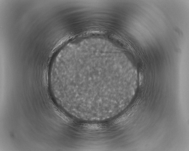 X0000115350349200912011057