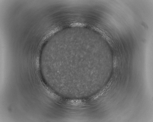 X0000115350353200912011057