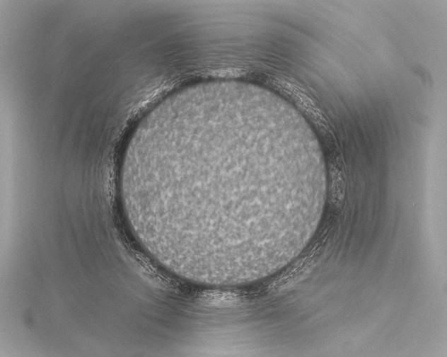 X0000115350354200912011057