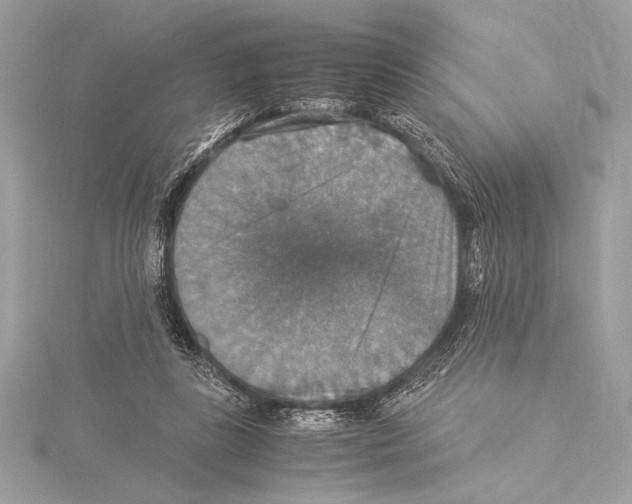 X0000115350355200912011057