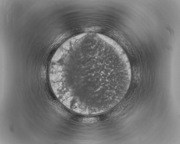 X0000115350357200912011057