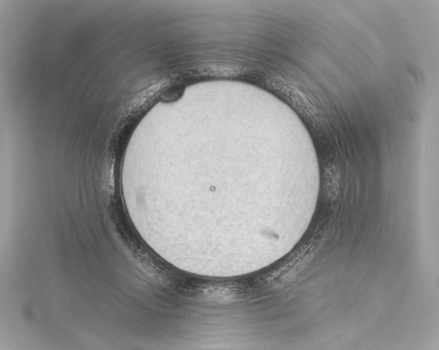 X0000115350358200912011057