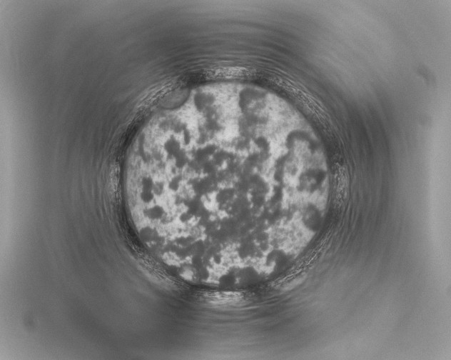 X0000115350361200912011057