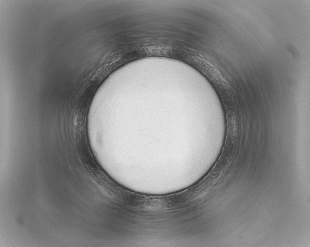 X0000115350363200912011057