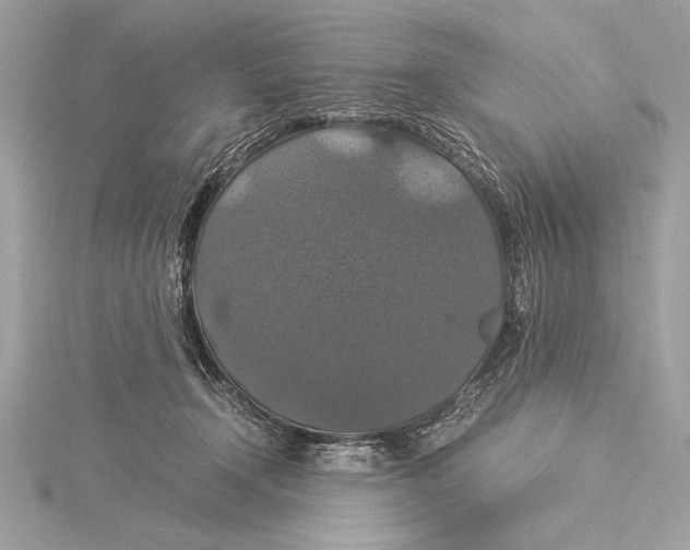 X0000115350366200912011057