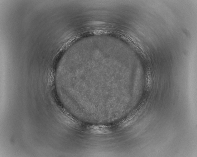 X0000115350367200912011057