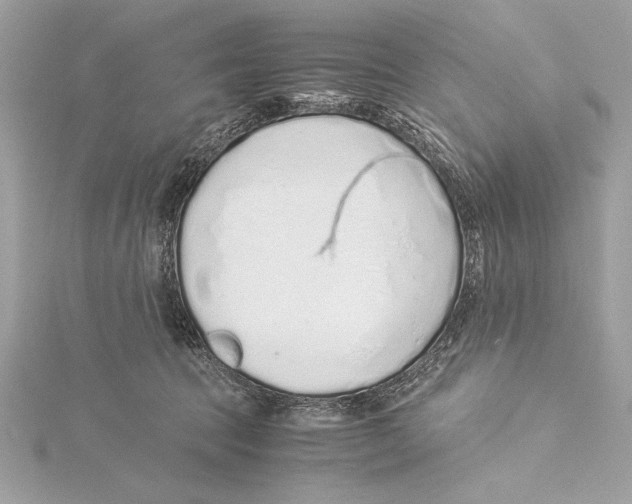 X0000115350369200912011057