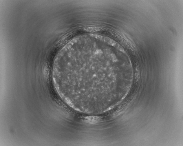 X0000115350371200912011057