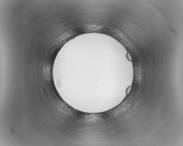 X0000115350378200912011057