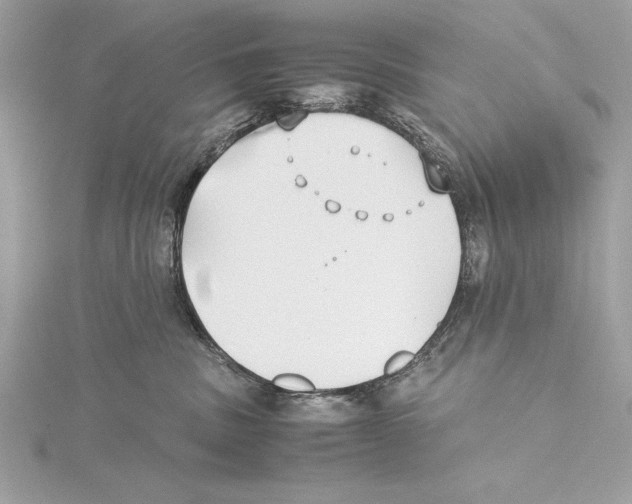 X0000115350379200912011057