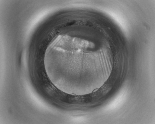 X0000115350383200912011057