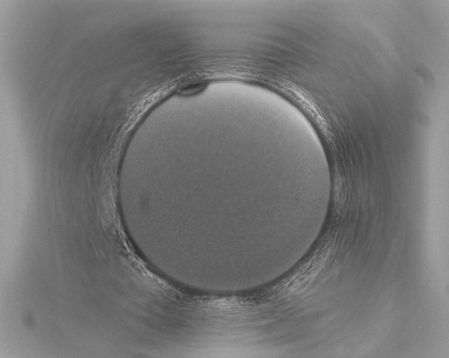 X0000115350385200912011056