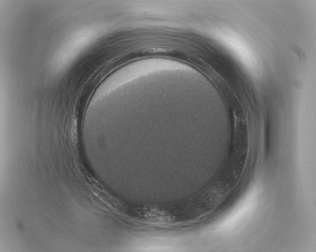 X0000115350387200912011056