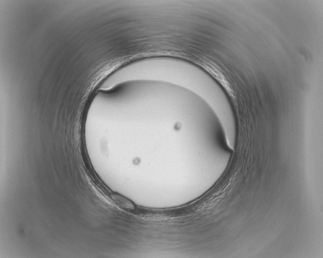 X0000115350389200912011056