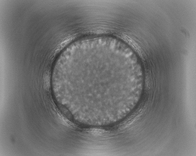 X0000115350393200912011056