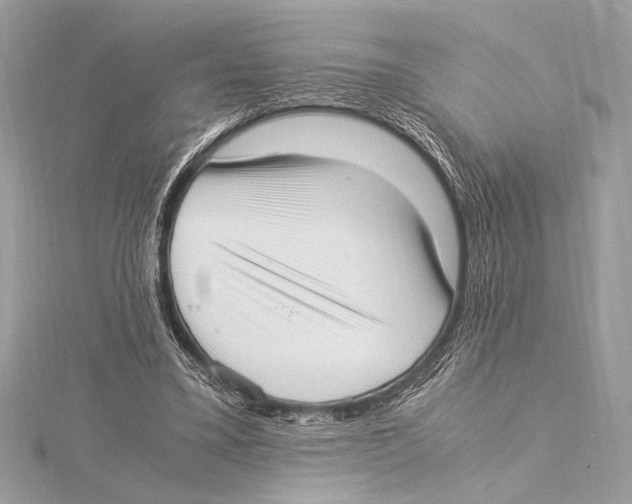 X0000115350395200912011056