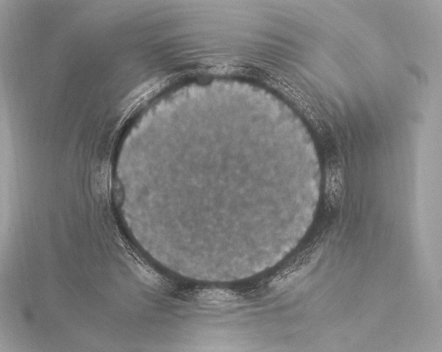 X0000115350397200912011056