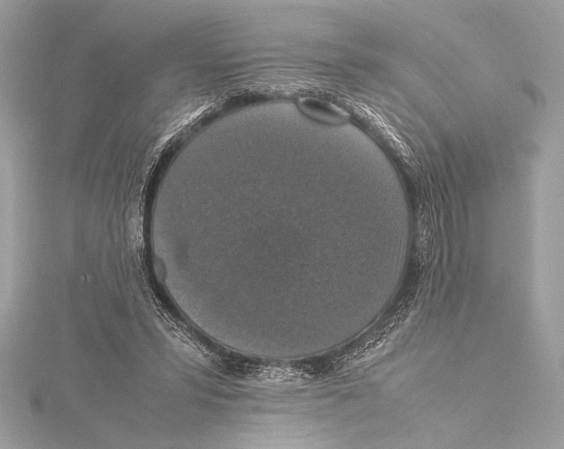 X0000115350399200912011056