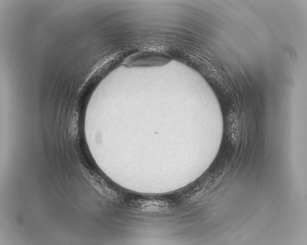 X0000115350400200912011056