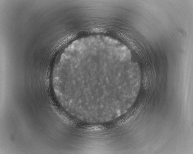 X0000115350402200912011056