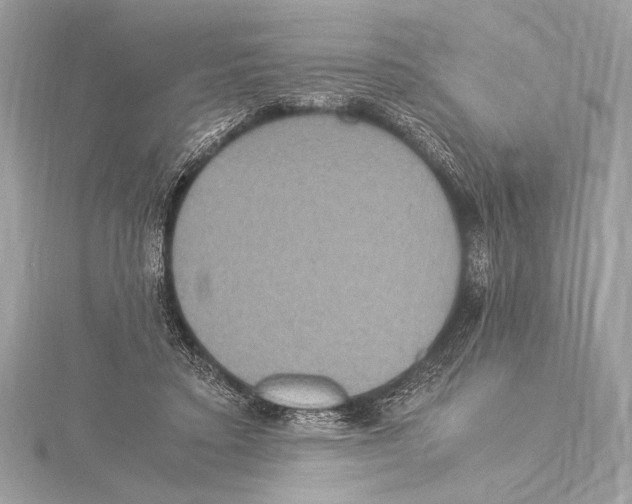 X0000115350403200912011056