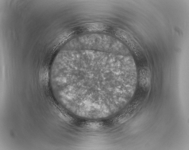 X0000115350405200912011056