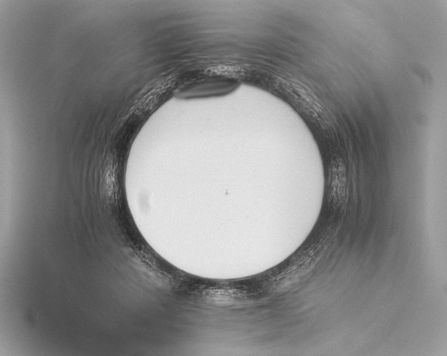 X0000115350408200912011056