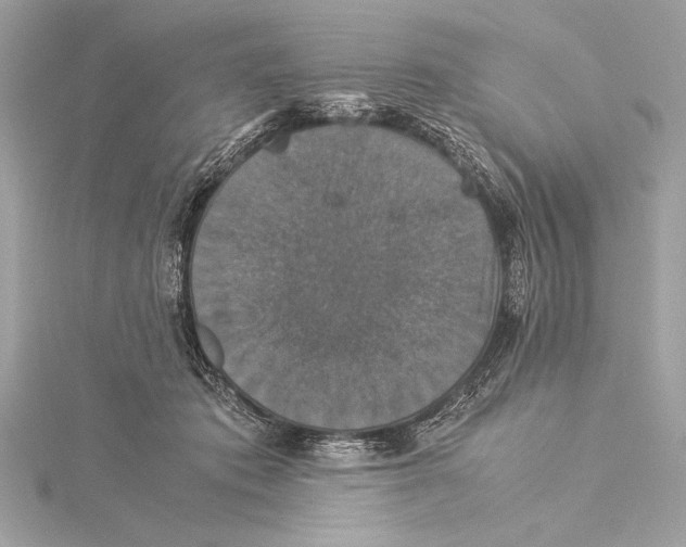 X0000115350413200912011056