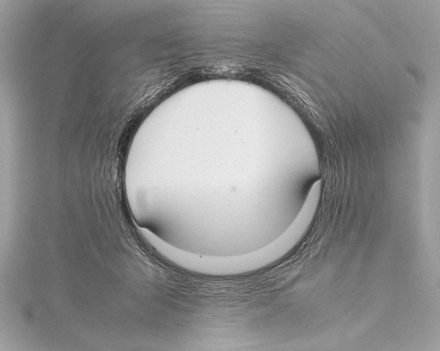 X0000115350415200912011056