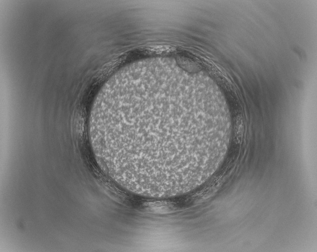 X0000115350417200912011056