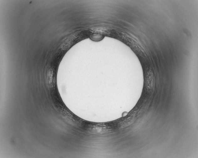 X0000115350420200912011056