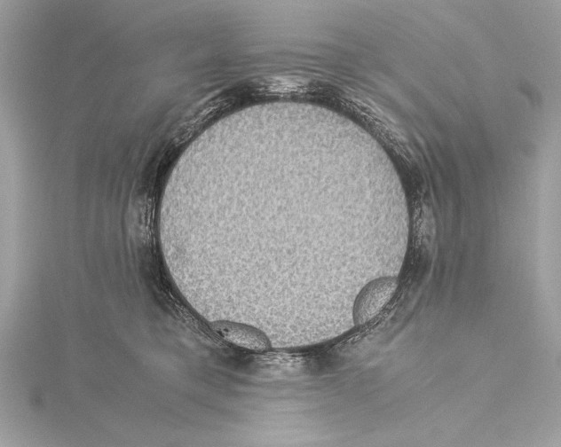 X0000115350421200912011056