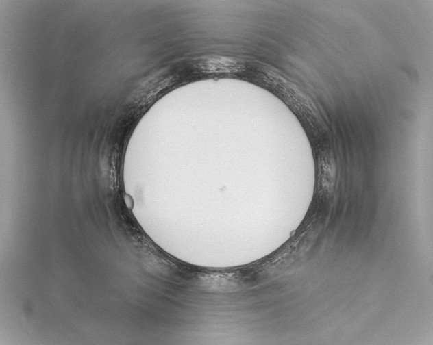 X0000115350422200912011056