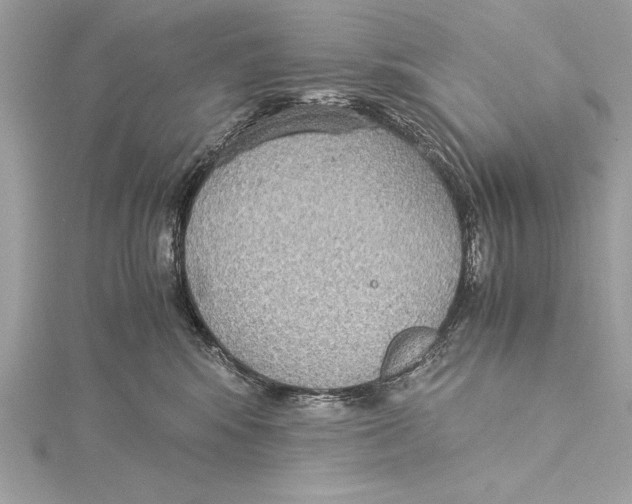 X0000115350424200912011056