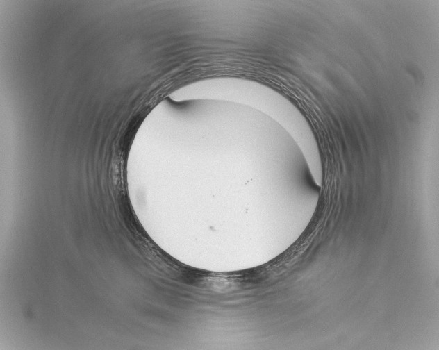 X0000115350425200912011056