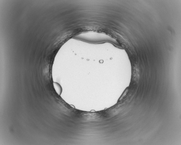 X0000115350428200912011056