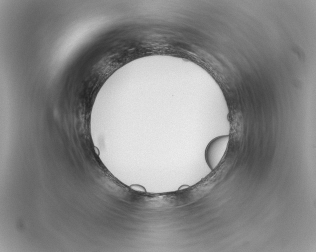 X0000115350430200912011056